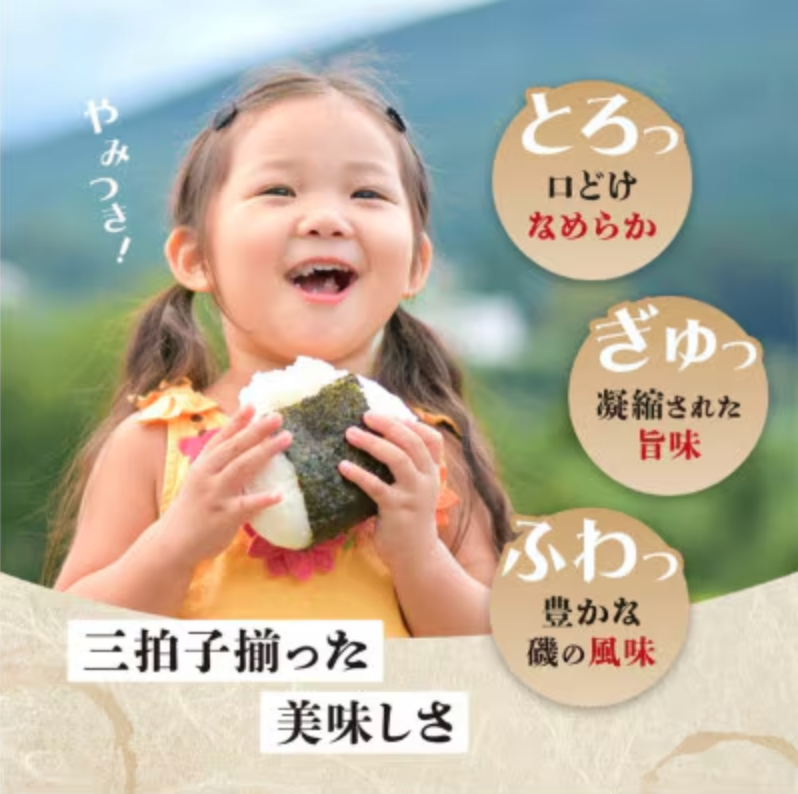 【贈り物にも嬉しい缶タイプ・包装済】有明海産 佐賀海苔 セット【BA-20】　サン海苔